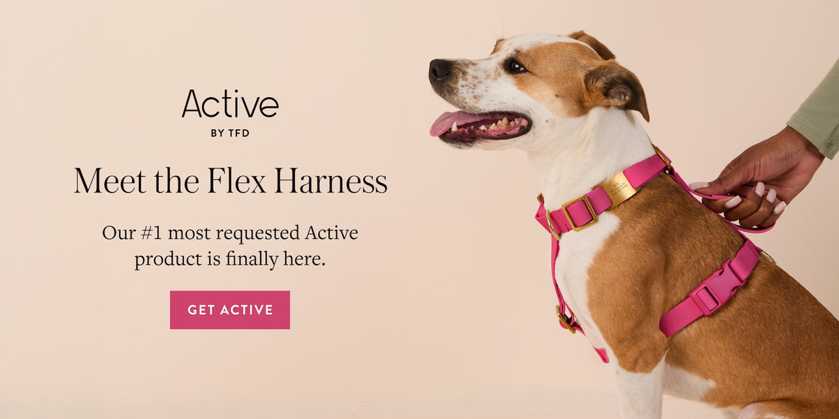Active by The Foggy Dog. Meet the flex harness. Our #1 most requested Active by TFD product is finally here.