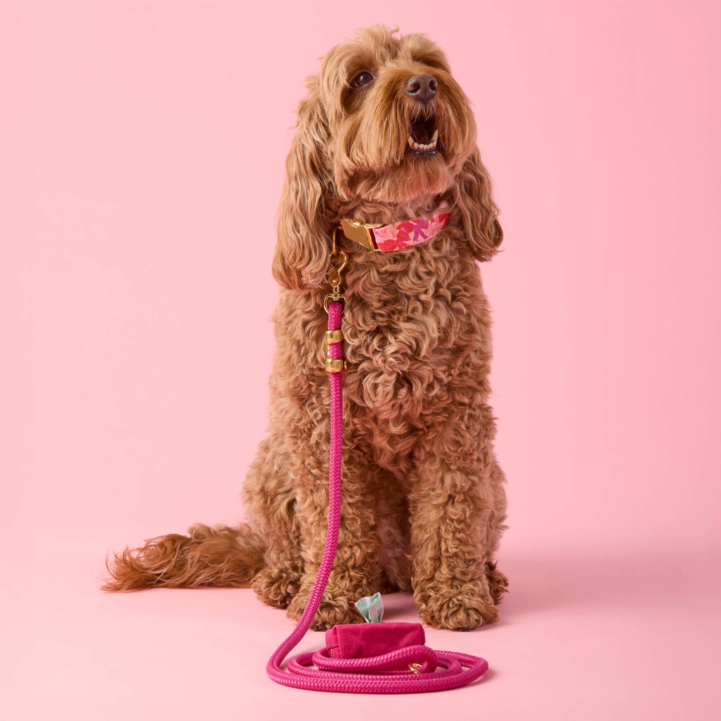 Hot Pink Marine Rope Dog Leash (Standard/Petite) from The Foggy Dog 