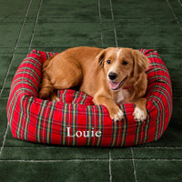 #Modeled by Noe (27lbs) in Large