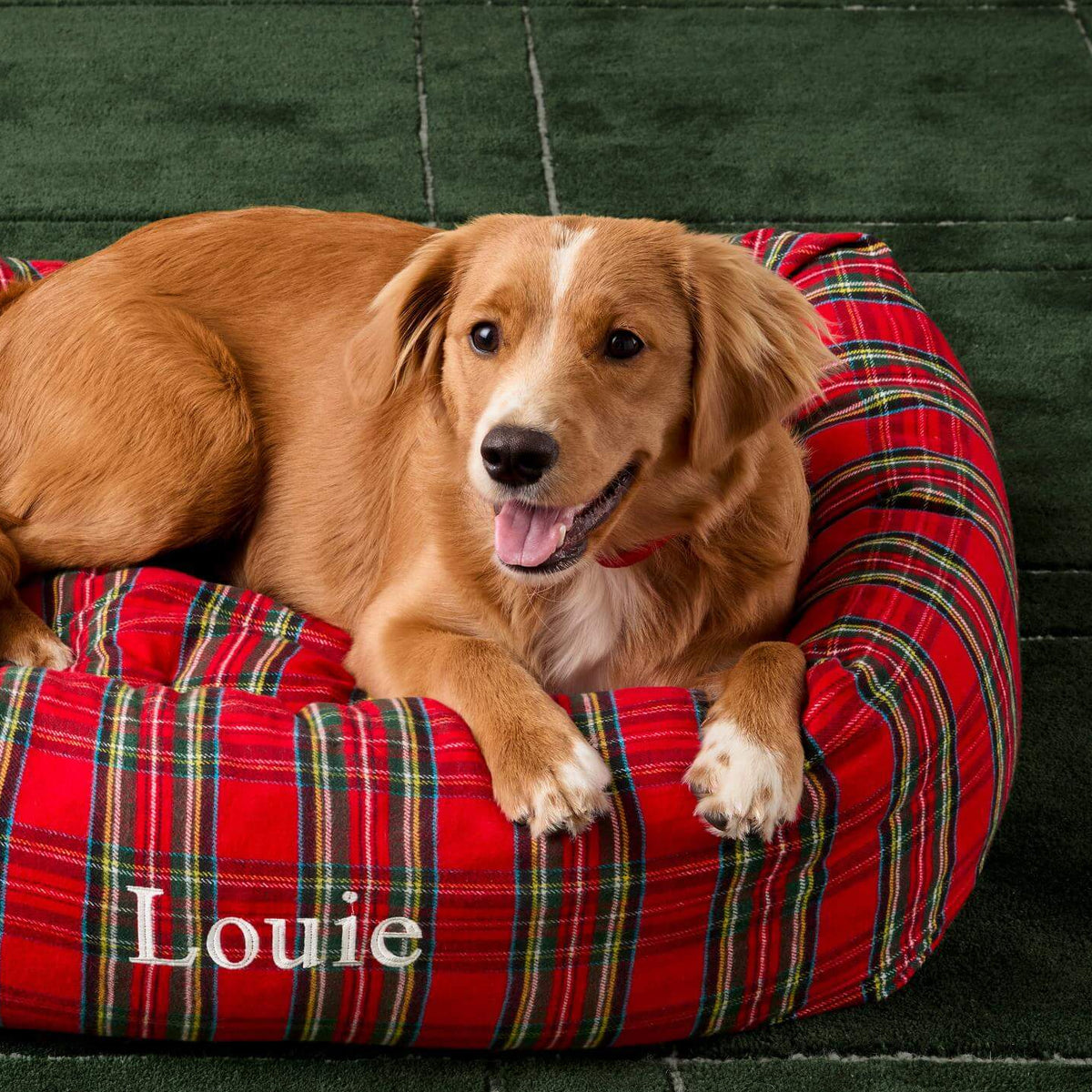 #Modeled by Noe (27lbs) in Large