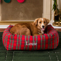 #Modeled by Noe (27lbs) in Large