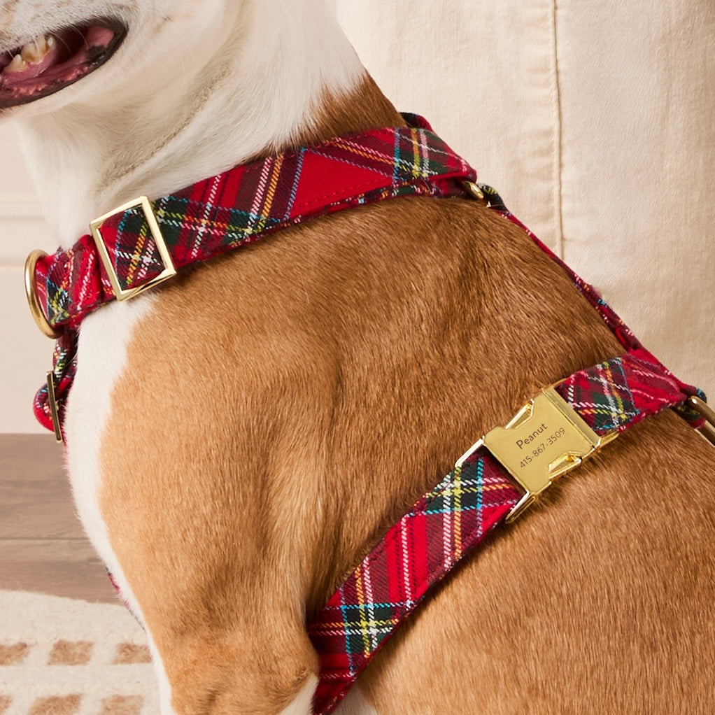 #Modeled by Sadie (27lbs) in Medium