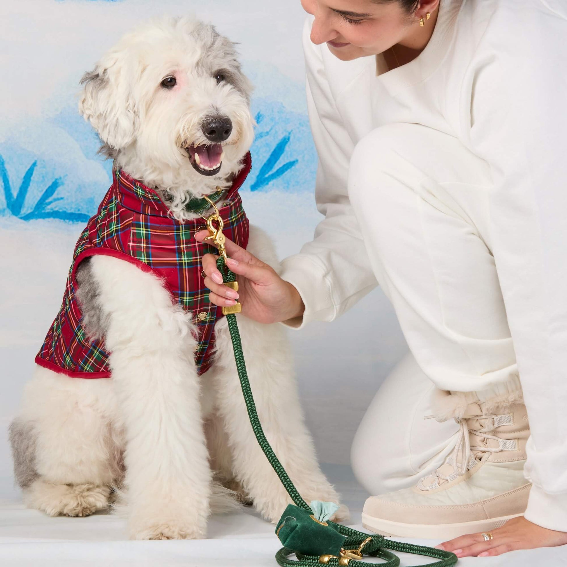 #Modeled by Goose (40lbs) in Large