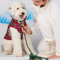 #Modeled by Goose (40lbs) in Large