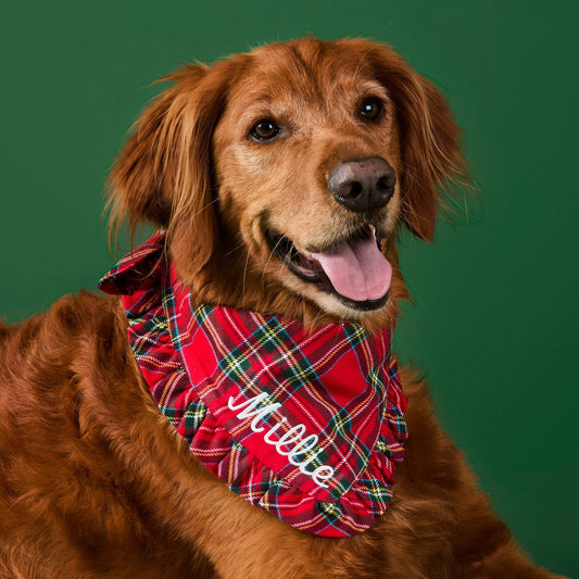 Tartan Plaid Flannel Ruffled Dog Bandana view 2
