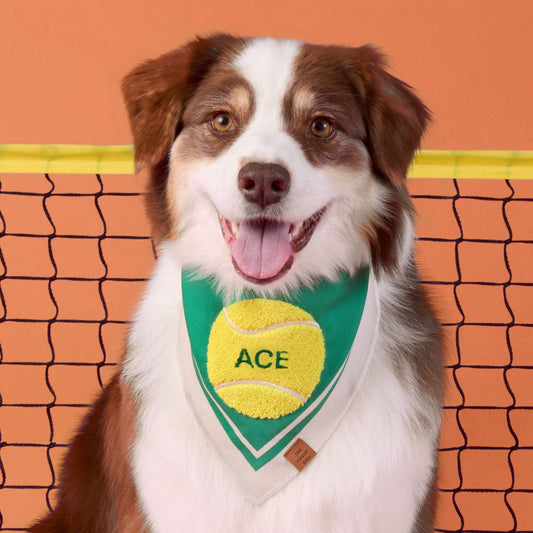 #Modeled by Sis (30lbs) in Medium