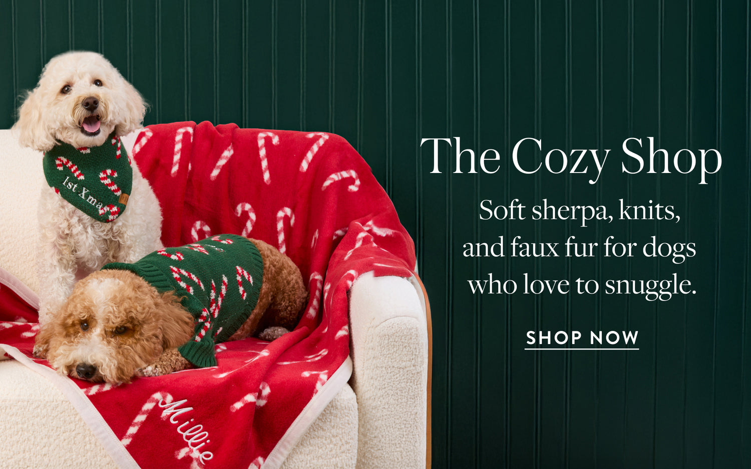 The Cozy Shop at The Foggy Dog
