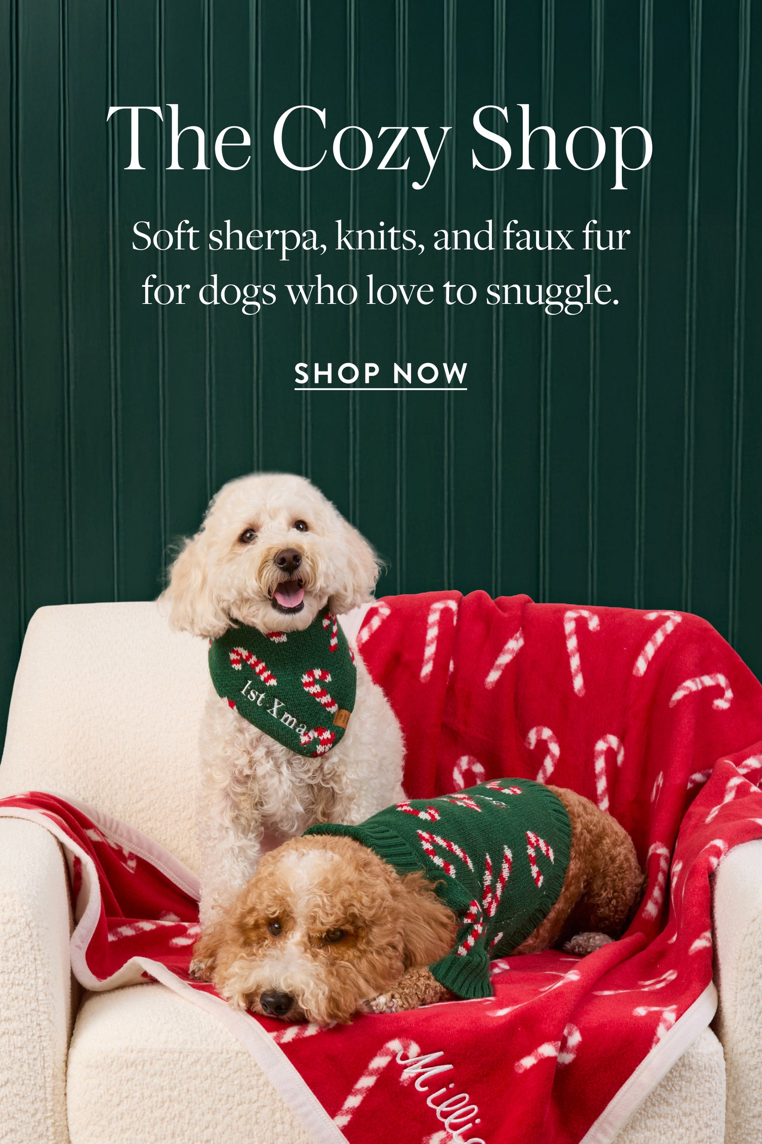 The Cozy Shop at The Foggy Dog