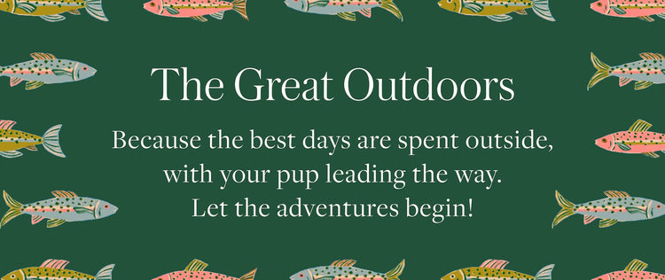Summer Collection The Great Outdoors from The Foggy Dog