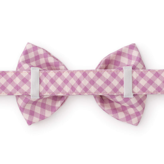 Thistle Gingham Bow Tie Collar