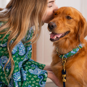 #Modeled by Nellie (55lbs) in Large