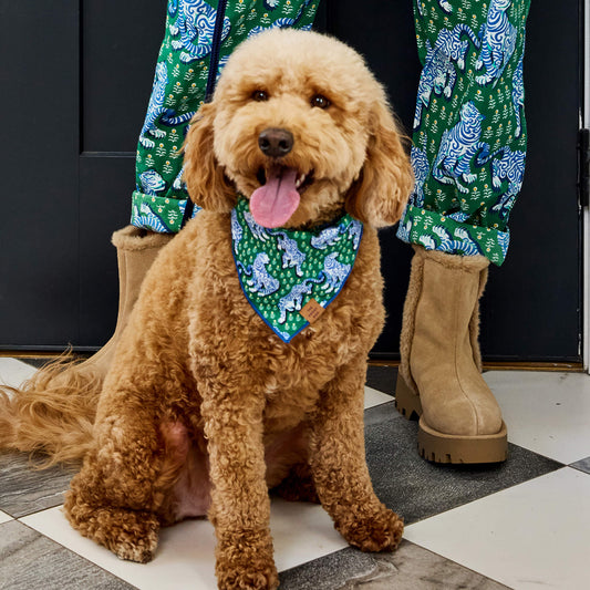 #Modeled by Lennon (25lbs) in Medium