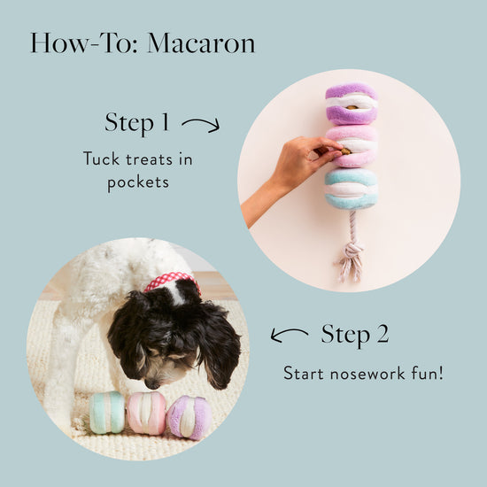 Macarons Interactive Snuffle Dog Toy