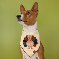 #Modeled by Ricky (27lbs) in Medium