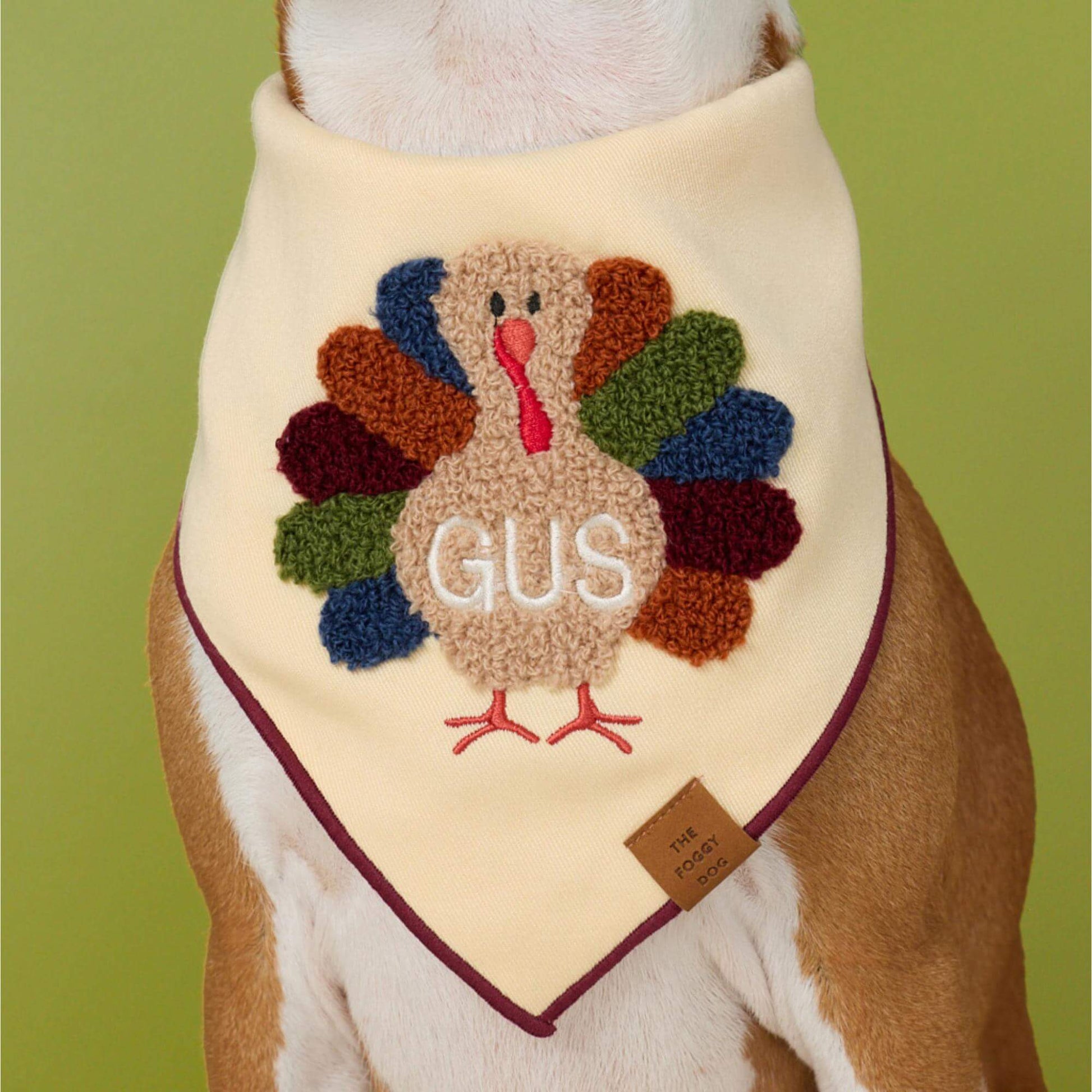 #Modeled by Ricky (27lbs) in Medium