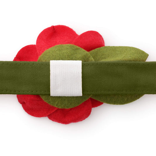 Red Rose Dog Collar Flower from The Foggy Dog