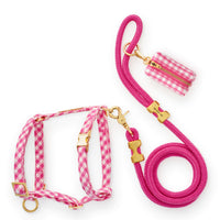 Hot Pink Gingham Harness Walk Set from The Foggy Dog