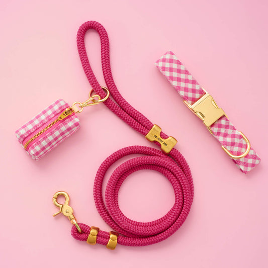 Hot Pink Gingham Collar Walk Set from The Foggy Dog