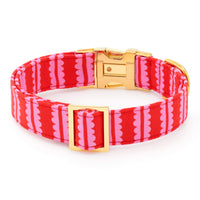 Scallop Stripe Dog Collar from The Foggy Dog