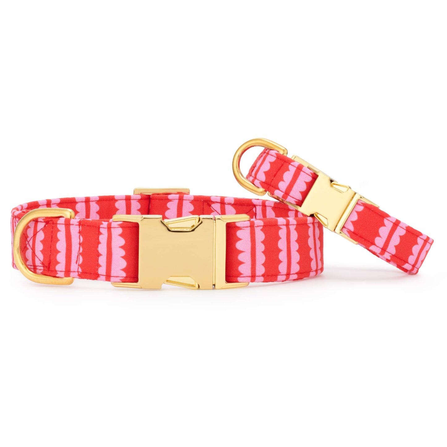 Scallop Stripe Dog Collar from The Foggy Dog