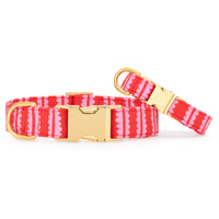 Scallop Stripe Dog Collar from The Foggy Dog