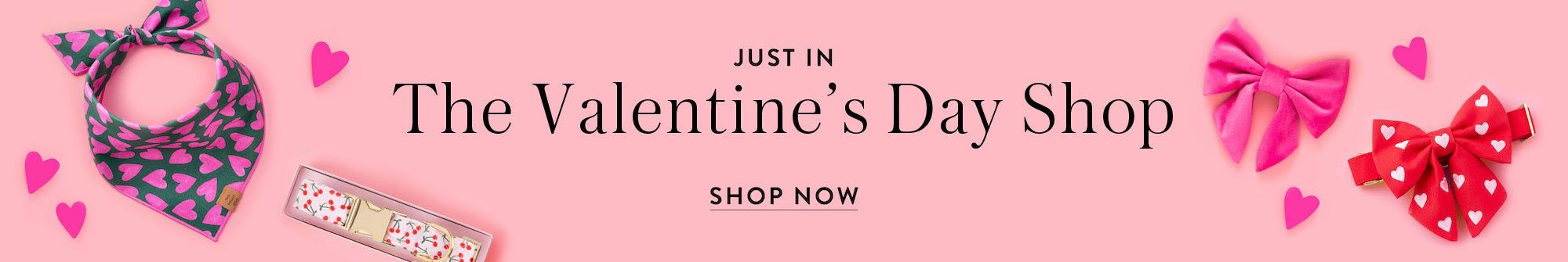 Valentine's Day Shop at The Foggy Dog