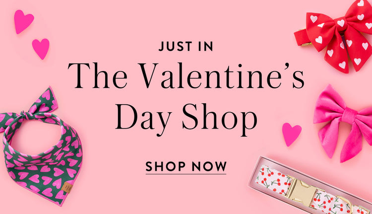 Valentine's Day Shop at The Foggy Dog