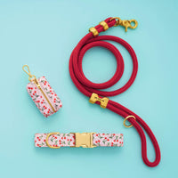 Cherry Jubilee Collar Walk Set from The Foggy Dog