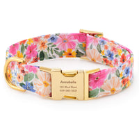 Margaux Dog Collar from The Foggy Dog