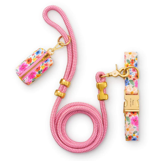 Margaux Collar Walk Set from The Foggy Dog