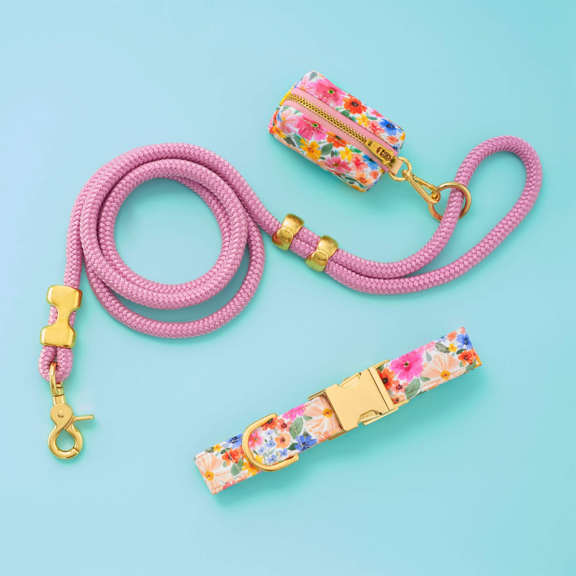 Margaux Collar Walk Set from The Foggy Dog