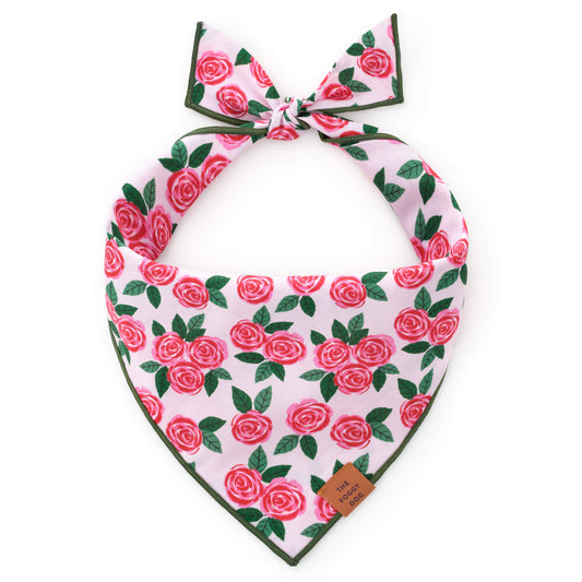 Rosette Dog Bandana from The Foggy Dog