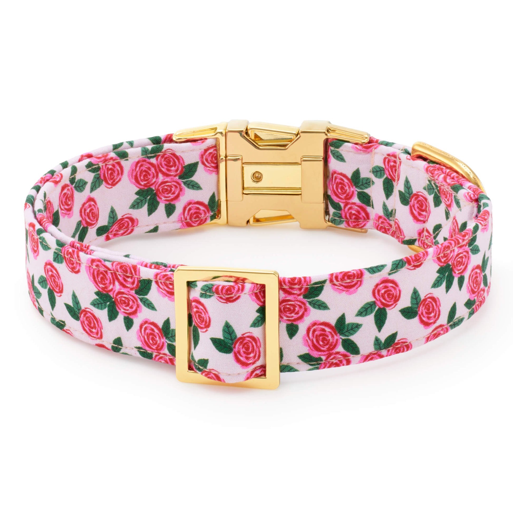 Rosette Dog Collar from The Foggy Dog