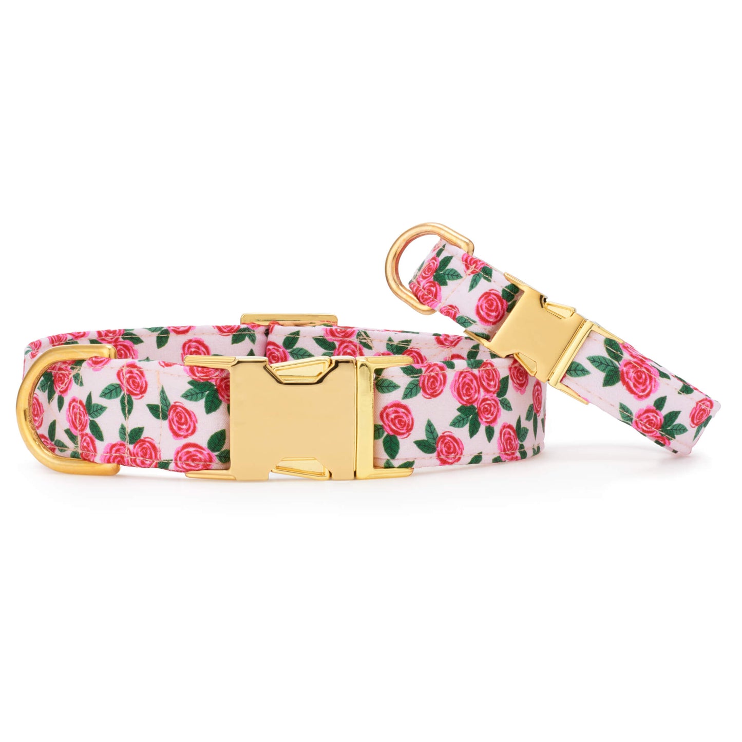 Rosette Dog Collar from The Foggy Dog