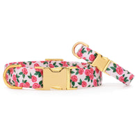 Rosette Dog Collar from The Foggy Dog
