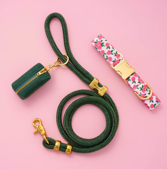 Rosette Collar Walk Set from The Foggy Dog