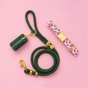 Rosette Collar Walk Set from The Foggy Dog