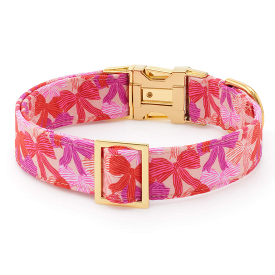 Take a Bow Dog Collar The Foggy Dog
