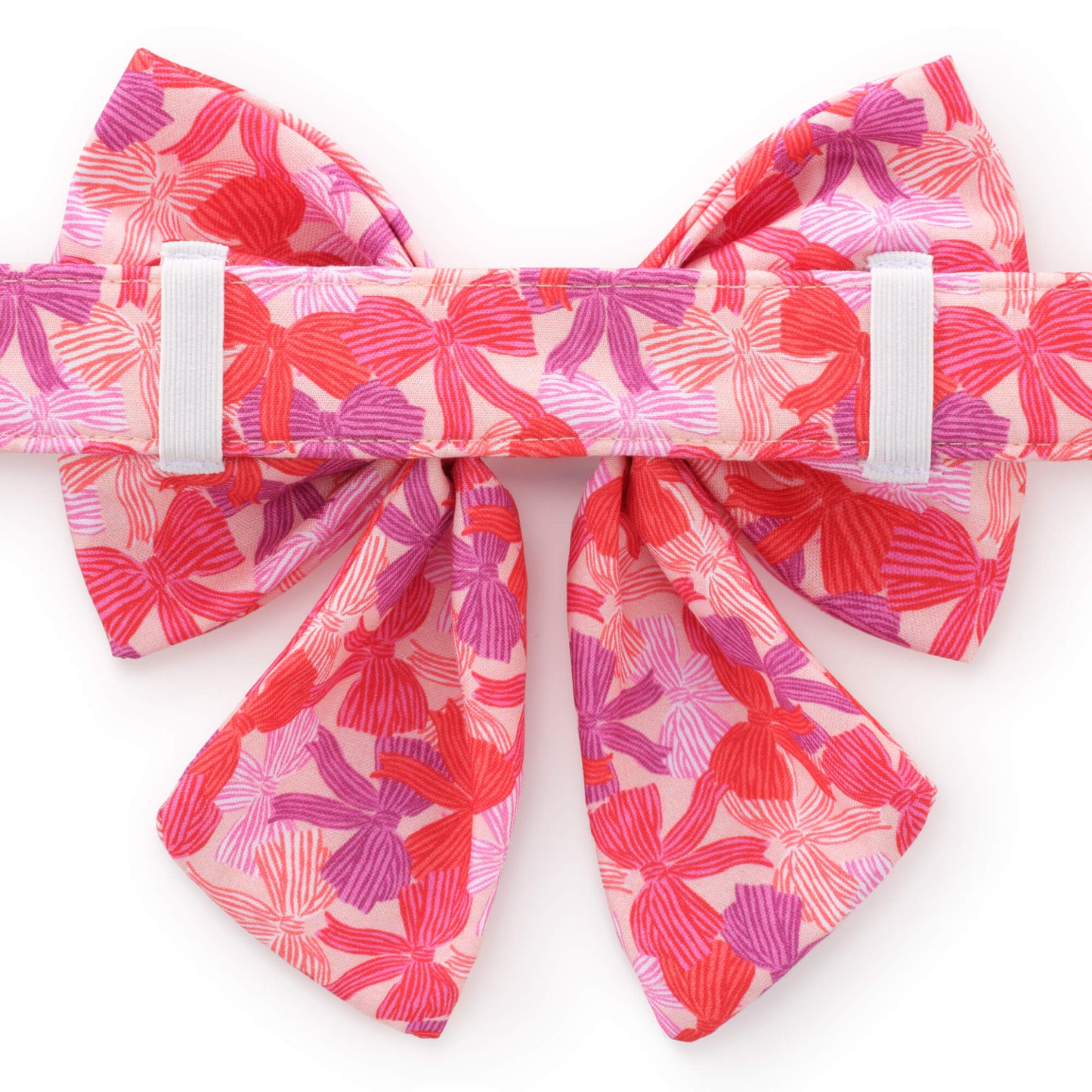 Take a Bow Lady Bow Collar from The Foggy Dog