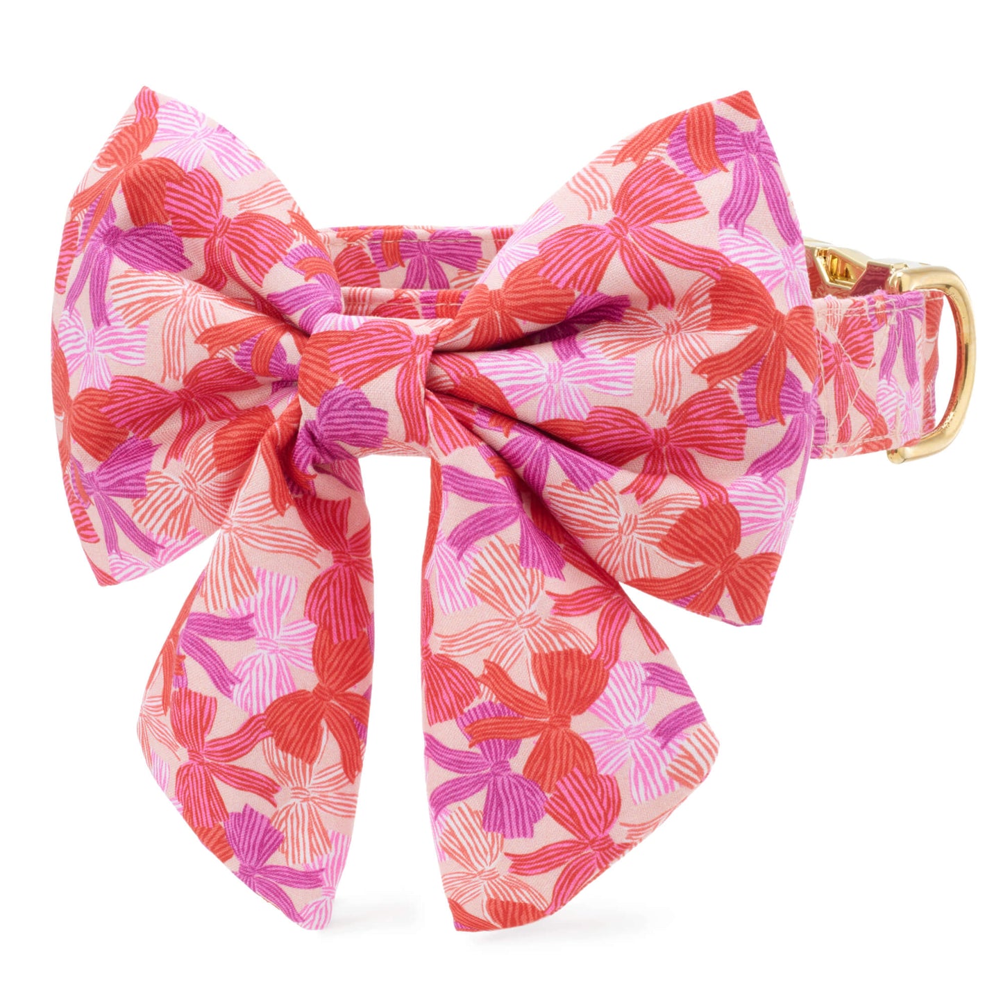 Take a Bow Lady Bow Collar from The Foggy Dog