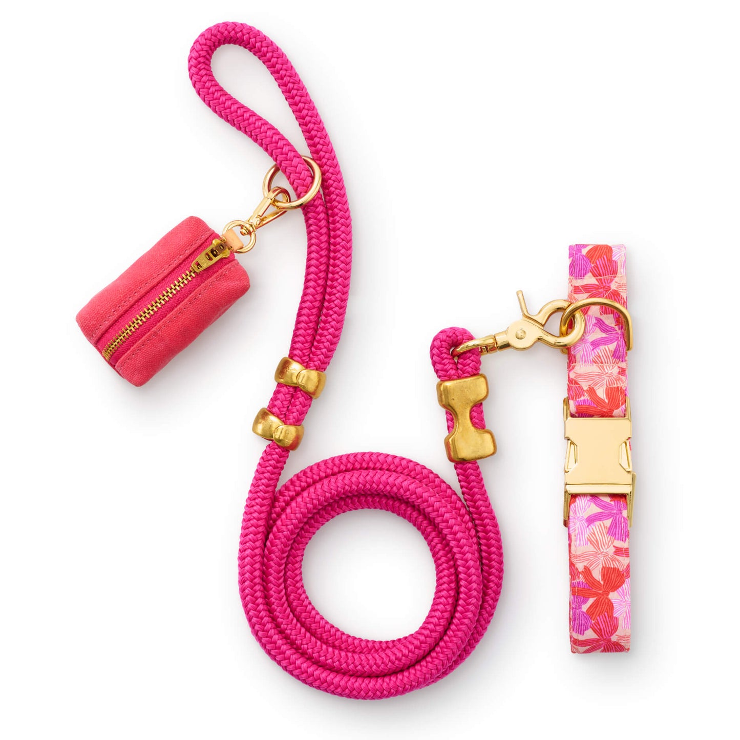 Take a Bow Collar Walk Set from The Foggy Dog