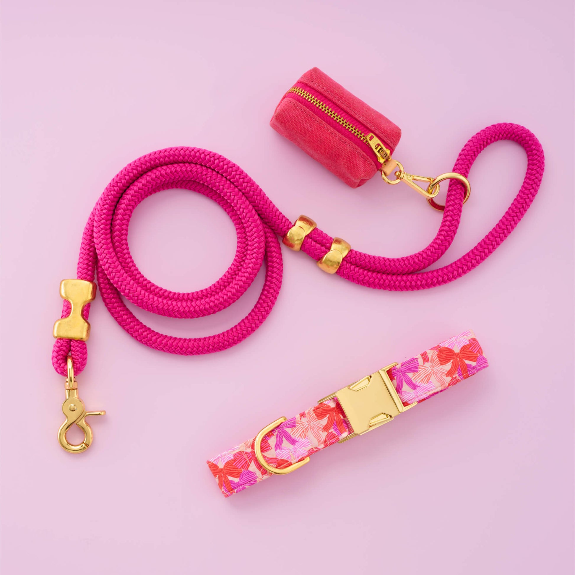 Take a Bow Collar Walk Set from The Foggy Dog