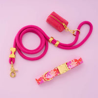 Take a Bow Collar Walk Set from The Foggy Dog