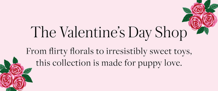 The Valentine's Day Shop at The Foggy Dog. From flirty florals to irresistibly sweet toys, this collection is made for puppy love.