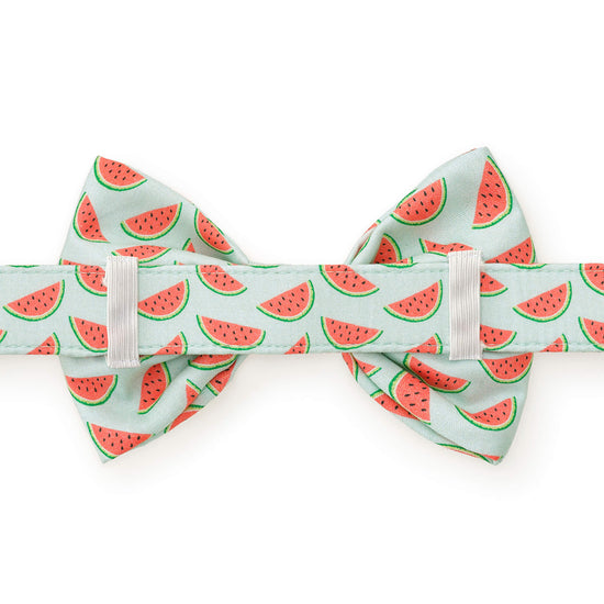 One in a Melon Bow Tie Collar
