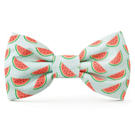 One in a Melon Dog Bow Tie