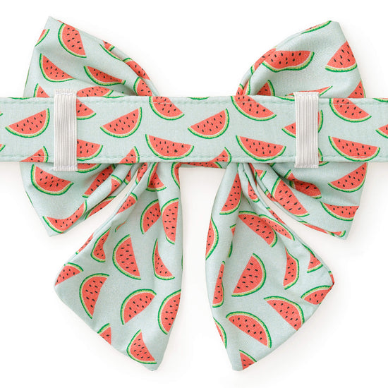 One in a Melon Lady Bow Collar