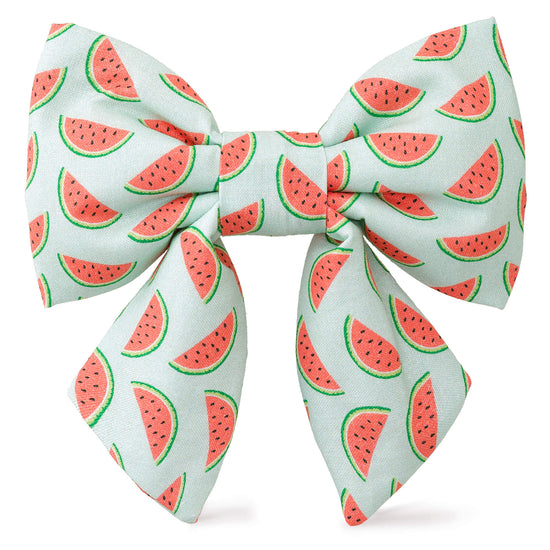 One in a Melon Lady Dog Bow