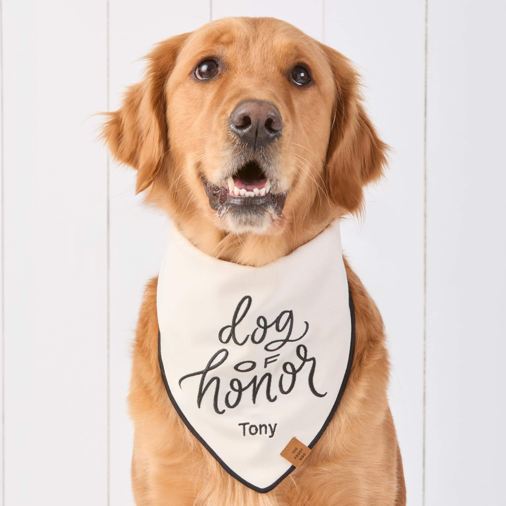 #Modeled by Aura (65lbs) in Large