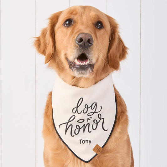 #Modeled by Aura (65lbs) in Large